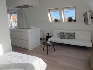 Attic Apartment in Nieuwpoort by Sandy Beaches, cleaning included - Nieuwpoort - 9