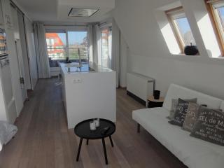 Attic Apartment in Nieuwpoort by Sandy Beaches, cleaning included - Nieuwpoort - 4