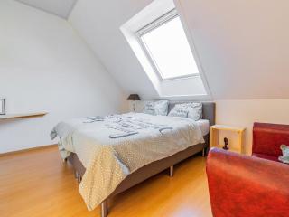 Apartment West Flanders with Roof Terrace, cleaning included - Poperinge - 2