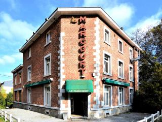 Holiday Home in Belgium with Private Garden, cleaning included - Marcourt - 9