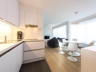 Apartment with Sea View and Balcony in Belgium, cleaning included - Koksijde - 8
