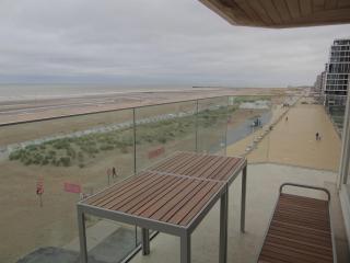 Apartment Nieuwpoort with Sea Views, cleaning included - Nieuwpoort - 6