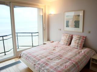 Attic Apartment in Nieuwpoort by the Beach, cleaning included - Nieuwpoort - 8