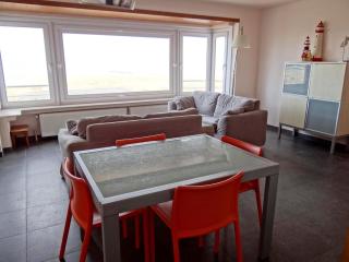 Apartment in Nieuwpoort with Sea Views, cleaning included - Nieuwpoort - 7