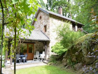 Cottage in Ardennes near Hiking Trails, cleaning included - Harre - 9
