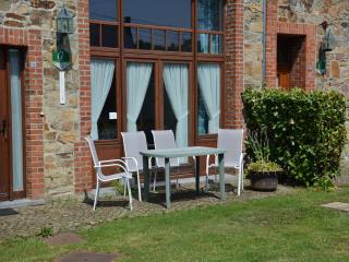Holiday home in Daverdisse with garden, cleaning included - Daverdisse - 4