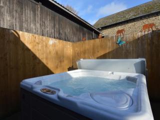Apartment in Grüfflingen with Sauna & Lake Nearby, cleaning included - Burg-Reuland - 5