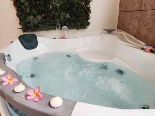 Blue Horizon - Le Fare Ra'i - Jacuzzi - Garden - - 9