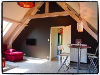 Holiday Home in Wodecq near Nature Park, cleaning included - Ellezelles - 1