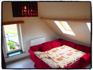Spacious Home with Games, cleaning included - Ellezelles - 1