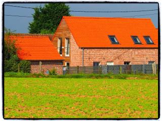 Holiday Home in Wodecq near Nature Park, cleaning included - Ellezelles - 3