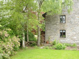 Holiday Home in Freyneux near Lake & Forest, cleaning included - Freineux - 3