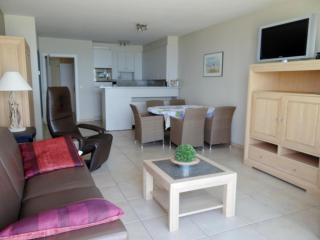 Apartment in Nieuwpoort with Sea Views, cleaning included - Nieuwpoort - 5
