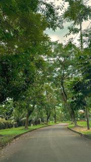 The Nawasena Villa Medan with Private Pool Escape - Sunggal - 8