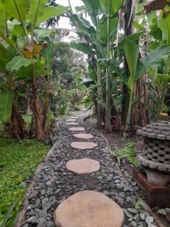 Yuda Menjangan Homestay - Banyuwedang - 7