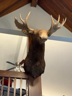Getaway To Muskoka - Bala - 0