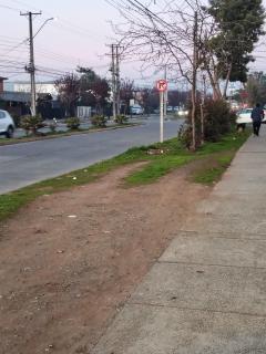 Alojamiento tranquilo y ogareño - Curicó - 3