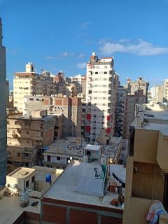 شقه مفروشه خلف كافتيريا ابو الحسن خالد بن الوليد ميامي الاسكندريه - 3