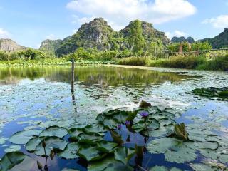 Trang An Legend - 5