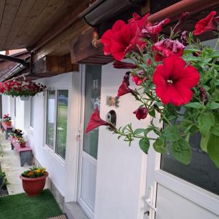 Rustic Mateo Bran - 3