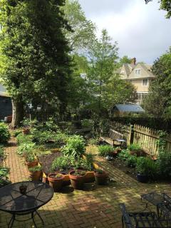 1879 Downtown Annapolis Home with Koi Ponds and Gardens - 1