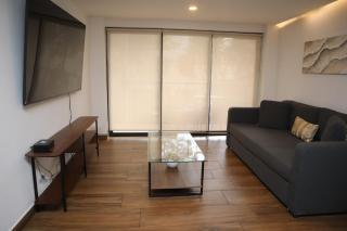 Lovely apartment in Roma Norte - Città del Messico - 2
