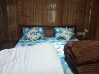 Ganga Homestay - Darjeeling - 9