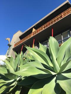 Dive Hotel - Sydney - 9