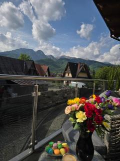 Sobiczkowy Dwór Apartamenty-Kasprowy Wierch - Kościelisko - 7