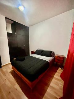 Verde - Città di Oaxaca - 6