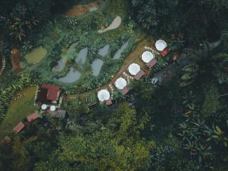Glamping tent in Pelaga Eco Park - Pacung - 5