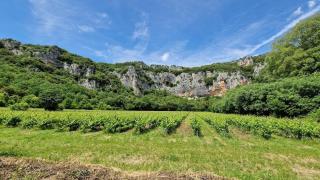 # Calme, Clim, Piscine en bord d'Ardèche # - Pont-de-Labeaume - 6