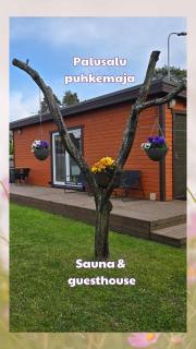 Palusalu puhkemaja - Haapsalu - 0