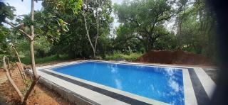 Ali Adi Eco Tree House - 6