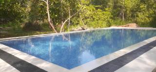 Ali Adi Eco Tree House - Sigiriya - 1