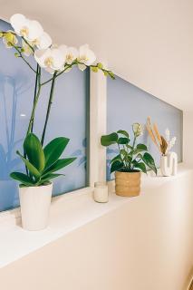 Le Ptit Saint Florent - Studio Indépendant & Spa - Strasbourg - 2