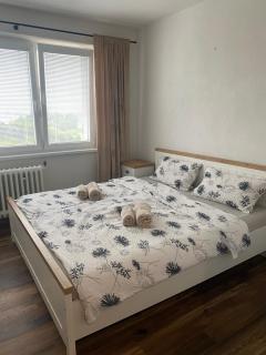 10th Floor Apartment U Liptacika - Liptovský Mikuláš - 4