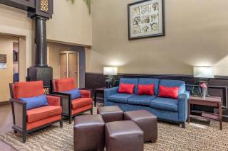 Comfort Suites The Colony - Plano West - The Colony - 6