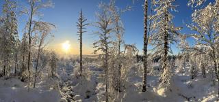 Arctic Panorama Resort - Rovaniemi - 1