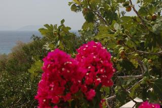 Aegean Pearl - Áyios Dhimítrios - 4