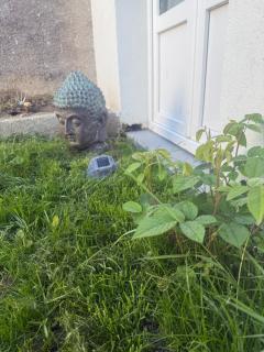 Maisonnette avec Jardin, Piscine, Netflix - 2