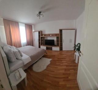 Apartament Oașul - Negreşti-Oaş - 9