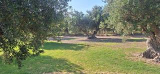 Sea view villa Stelios with Private pool Near the beach - Kalyves - 6
