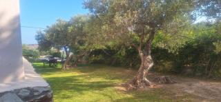 Sea view villa Stelios with Private pool Near the beach - Kalyves - 7