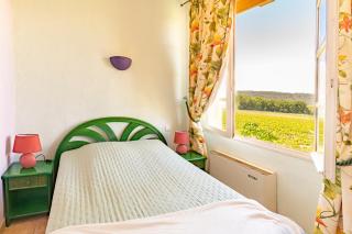 Gîte Vert d'olive au milieu des vignes - Château Les Apiès - Les Arcs sur Argens - 1