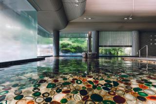 Tamatsukuri Grand Hotel Choseikaku - Matsue - 9