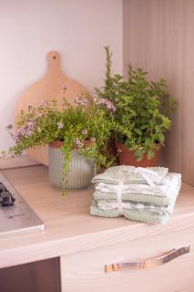 Il nido di Betta - 5