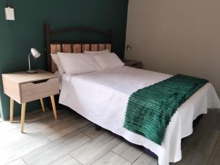 Finch & Fern Guesthouse - Bloemfontein - 9