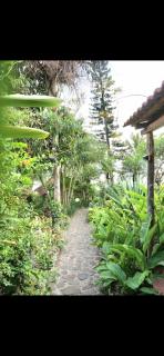 GuateMia - - 8
