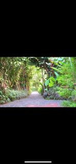 Gaestehaus ESSENCE - 2